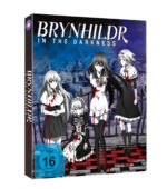Brynhildr in the Darkness