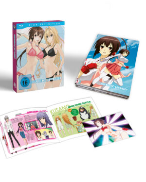 Sekirei Staffel 1 mit Booklet und Art Card