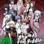 Akuma no Riddle – Gesamtausgabe – [DVD]