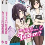 Why the Hell are You Here, Teacher Vol.1-2 – Gesamtausgabe – [DVD]